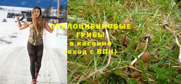 мдпв Зеленокумск